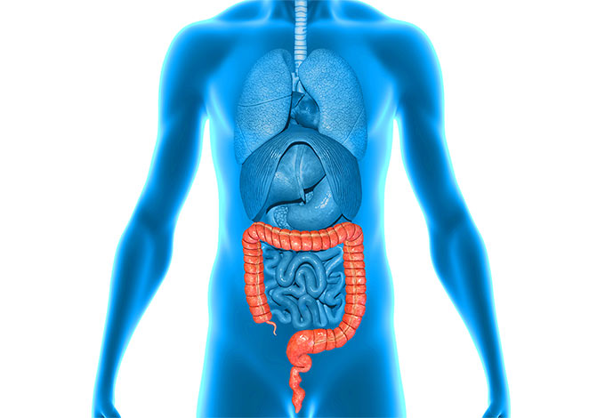 large intestine health pic