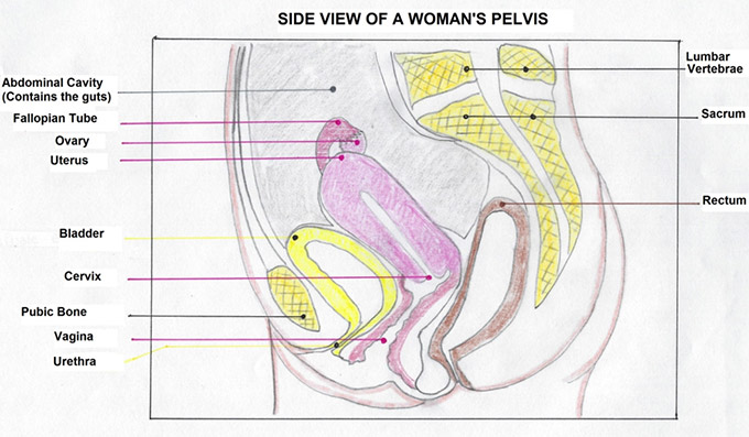 Female Infertility More Than A Gynecological Problem An