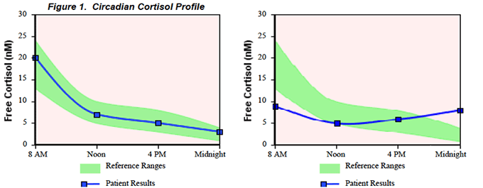 naturopathy-sleep-cortisol-graphs