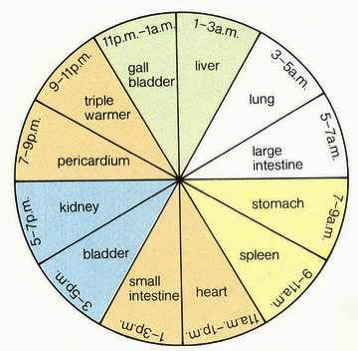 sleep dysfunction - body organ correlation wheel