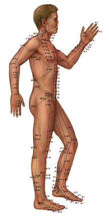 acupuncture point diagram