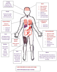 anxiety body effect diagram