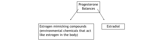 progesterone balance diagram