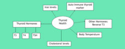 Thyroid health