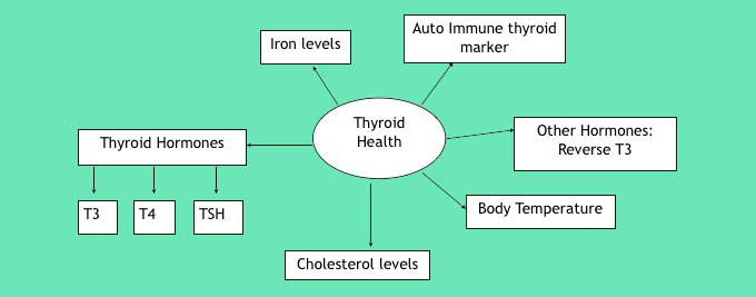 Thyroid health