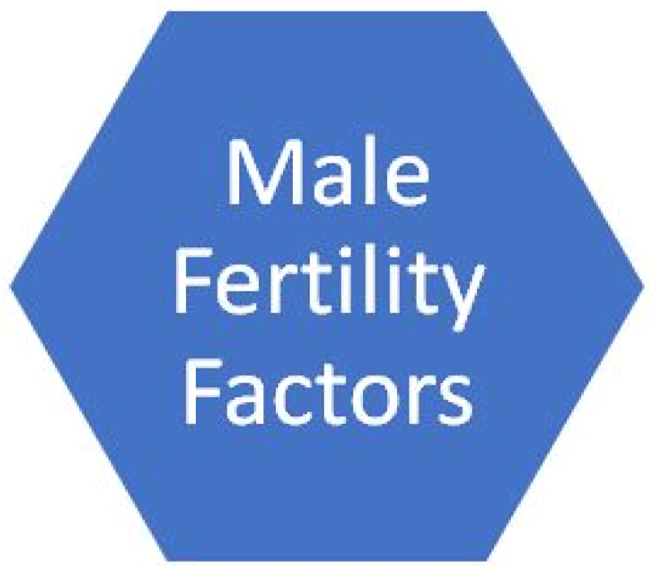 male infertility