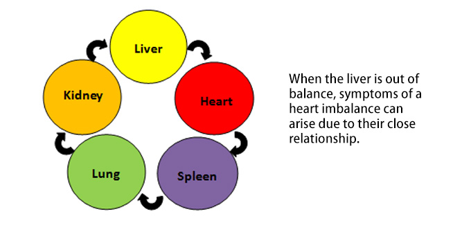 liver-heart connection