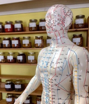 acupuncture meridians mannequin