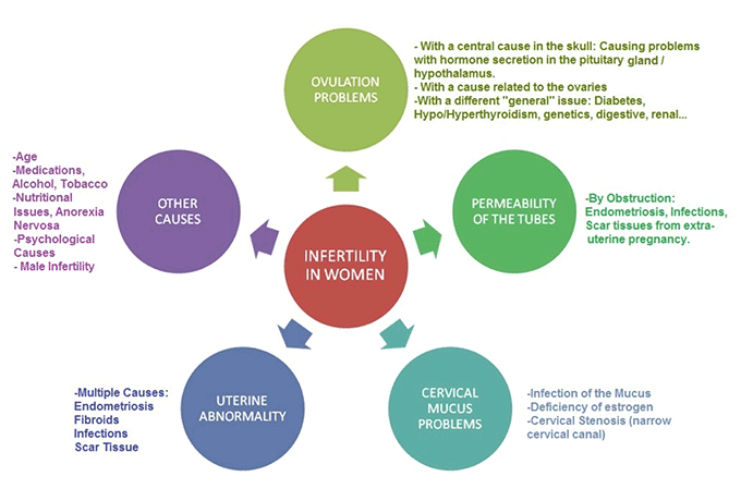 female infertility presentation