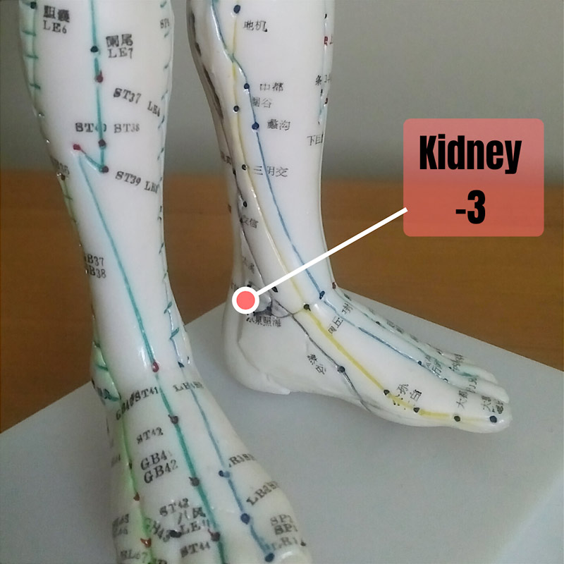 kidney 3 location